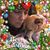 Sue Donze's profile image