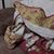 Beth Doherty Patterson's profile image