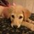 Patti Kabobs Hobbs's profile image