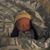 Roger Stephens's profile image