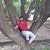 Himanshu Singh Chauhan's profile image