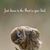 Ann K Vilter Erickson's profile image