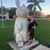 Madi Tracy's profile image