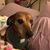 Diane Follansbee's profile image