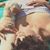 Christina Provencio's profile image