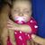 Susan Clancey Blaschak's profile image