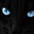 Olga Briseno's profile image