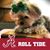Elsie Slocomb Wilson's profile image