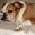 Betty Lou Fredrickson's profile image