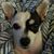 Sylvia Shp's profile image