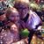 Danna Lucas's profile image
