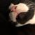 Lisa Rennie's profile image