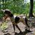 Donnie Allison III's profile image