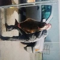 Conrad Van Vliet's profile image