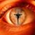 Gina Shives's profile image