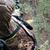 Chuck Henzy's profile image