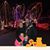 Amy Thompson Kinkead's profile image
