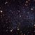 Star Gazer's profile image