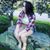 Marissia Ann's profile image