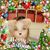 Wendy Matsler's profile image