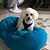 Nancy Carson's profile image