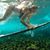 Sonia Meller's profile image