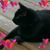 Gayle Heise's profile image