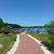 Nancy Rigger Willburn's profile image