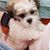 Thanh Tran's profile image