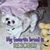 Karen Staskiewicz's profile image