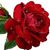 Maribel Estela's profile image