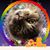 Karin Williams's profile image