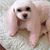 Lucy Bonillas Mckenna Carson's profile image