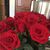 Mary Ellen Winlund's profile image
