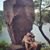 Rachel Bryant's profile image