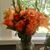 Mindy Sibley Morrell's profile image