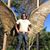 Christopher Duran's profile image