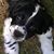 Martha Morrison's profile image