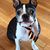 Julie Brown Sheil's profile image