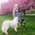 Radha Nichole's profile image