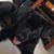 Tracy Cruitt Engelbrecht's profile image