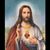 Patricia Graham Anderson's profile image