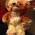 Phyllis Murray's profile image