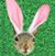 Tanya Cielo's profile image