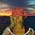 Debra McElroy's profile image