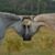 Esther Scott Jackson's profile image