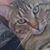 Holly Heath's profile image