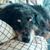 Susan Tidmore Dent's profile image