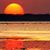 Sunset Cabinet & Design's profile image