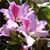 Angie Grodecki's profile image